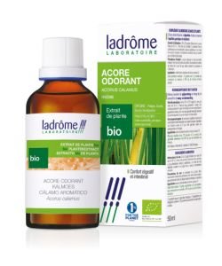 Acorus Calamus - fresh organic plant extract